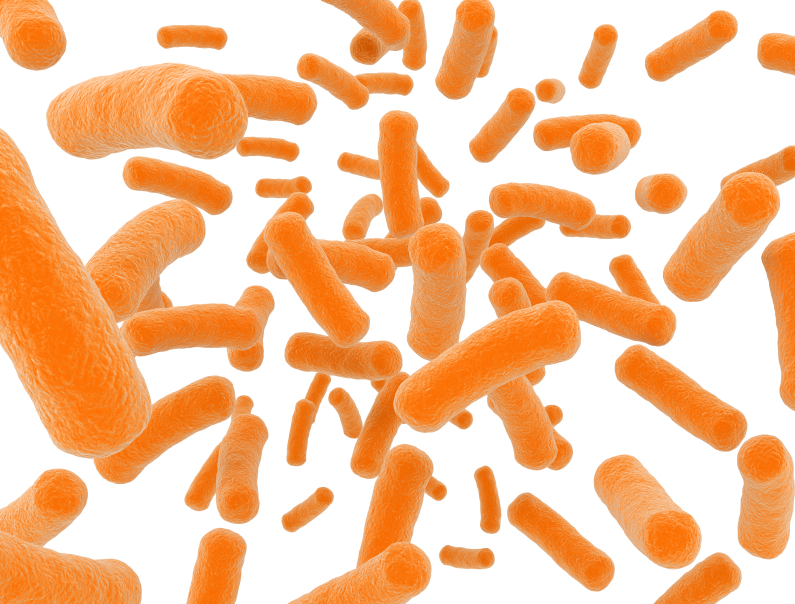 Omega 3 and probiotic mixture may have benefits