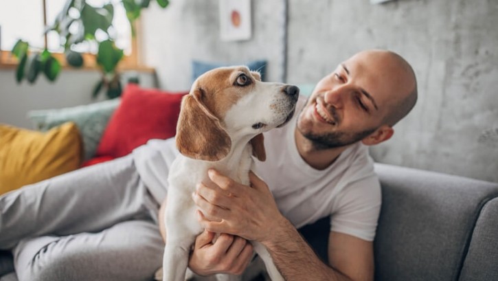 Studies indicate up to 63% of pet cats and 59% of pet dogs are overweight or obese globally. @ South_agency / Getty Images