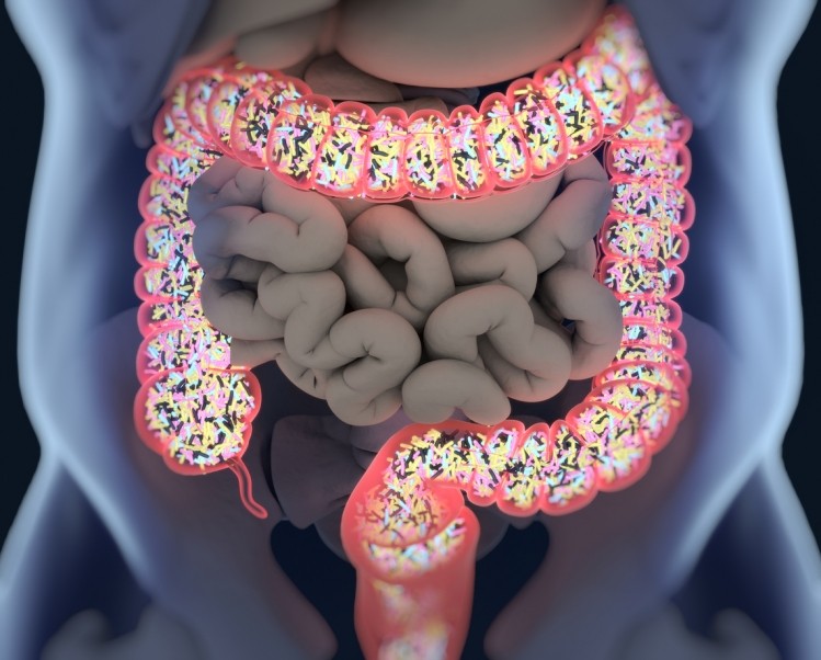Gut Bacteria May Be Responsible For Age Related Inflammation Mouse Study Suggests 