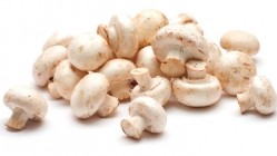 Common cultivated mushroom key to fat-trapping ingredient
