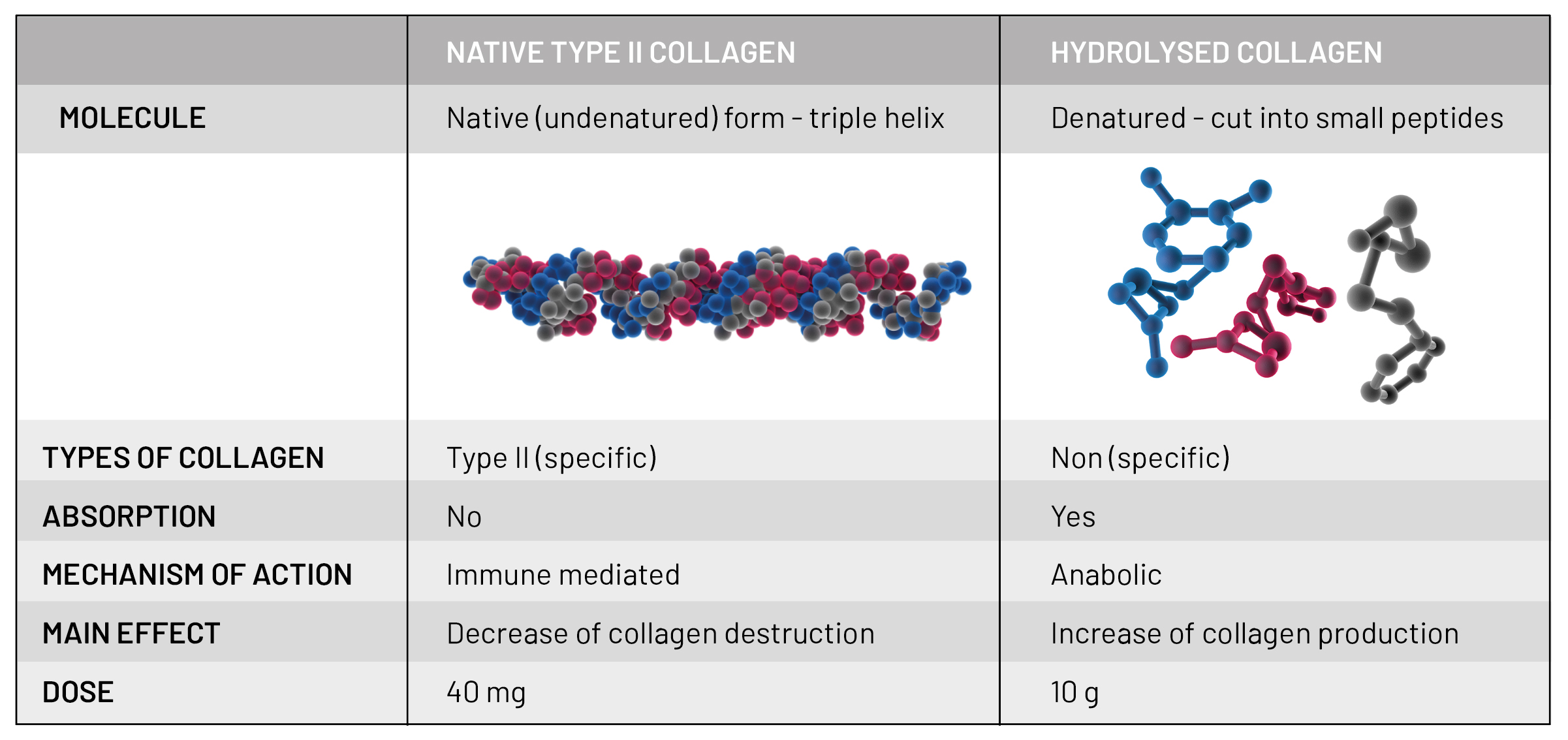 Making Moves In Joint Health With Native Type Ii Collagen