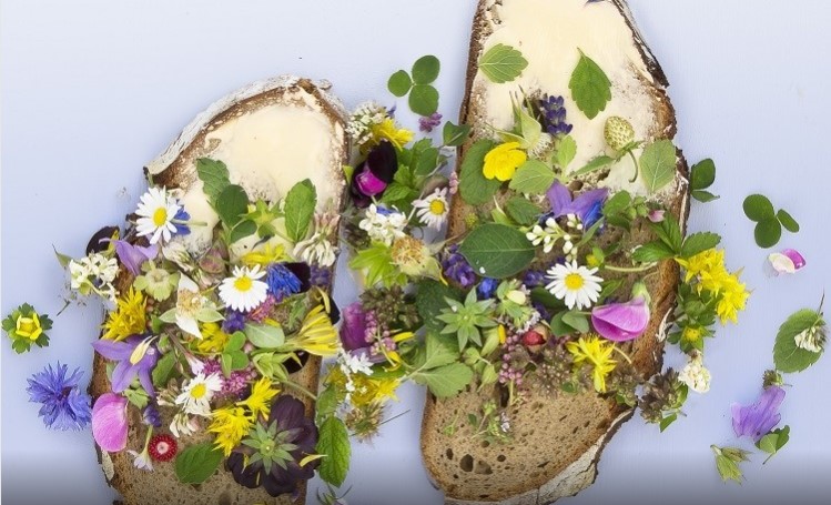 Edible Flowers Are Having a Moment—Here's What to Know About the Trend