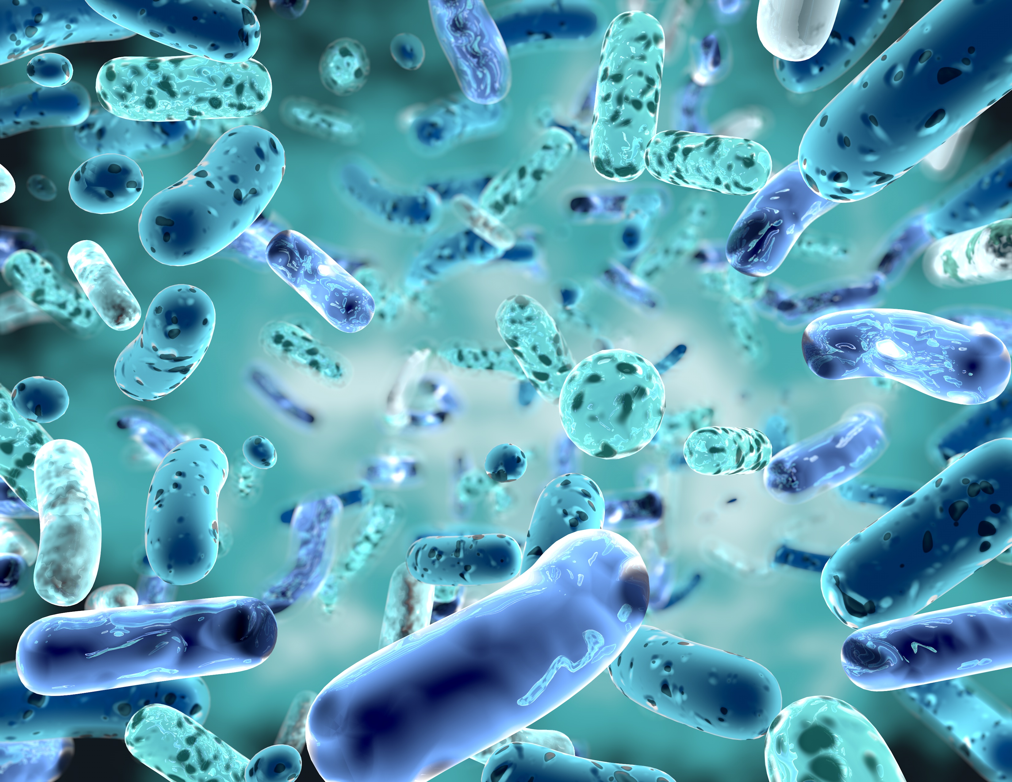 Study confirms correlation between microbiome and glycemic response